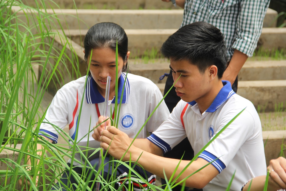 Trường Đại học Tiền Giang luôn chú trọng và khuyến khích sinh viên tham gia nghiên cứu khoa học